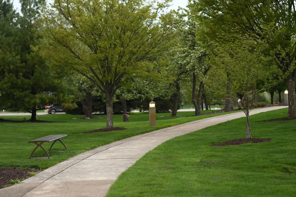 tree service Everson