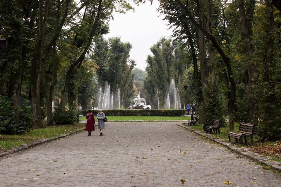 Expert Local Tree Care Tailored to Nooksack's Climate — Nooksack, WA